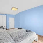 Apartmán New Cozy Apartment, Free Parking! Praha