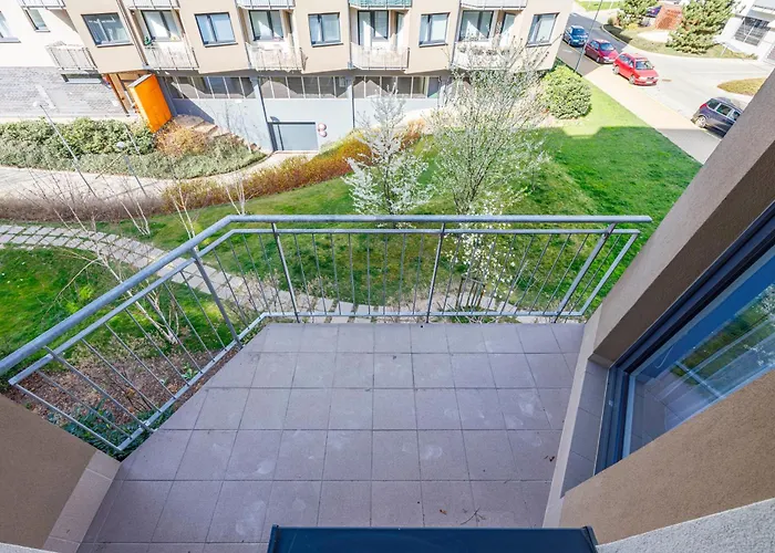 New Cozy Apartment, Free Parking! Apartamento *